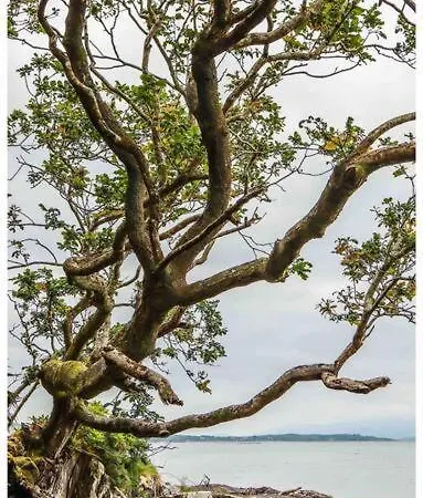 Skelligway - Your Luxury Nyaraló Kenmare