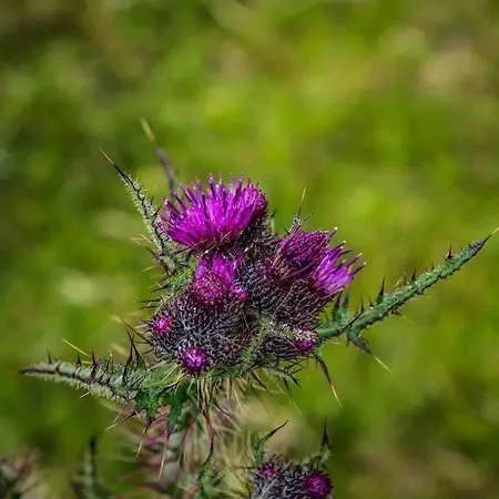 Skelligway - Your Luxury Nyaraló Kenmare