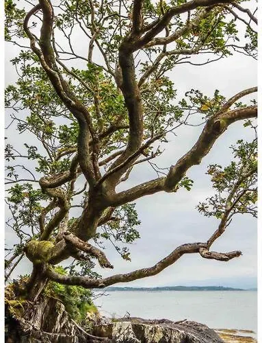 Skelligway - Your Luxury Vakantiehuis Kenmare